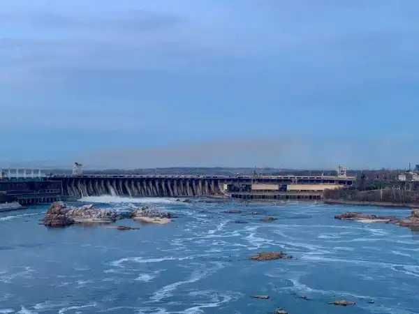 Червонокнижних осетрів помітили в Дніпрі після руйнування Каховської ГЕС