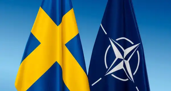 Де взяти 110 бригад в Європі?: у Шведському Міноборони розповіли про ключову необхідність України для НАТО.