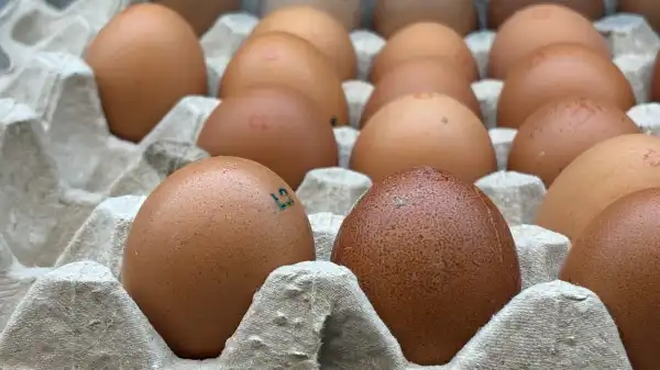 Яичная продукция подешевела, отметили эксперты