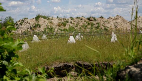 Чернігівщина цілодобово готується до можливих “несподіванок” з боку Білорусі