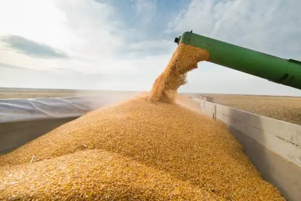 Українські порти під російськими ударами можуть значно зменшити обсяги експорту…