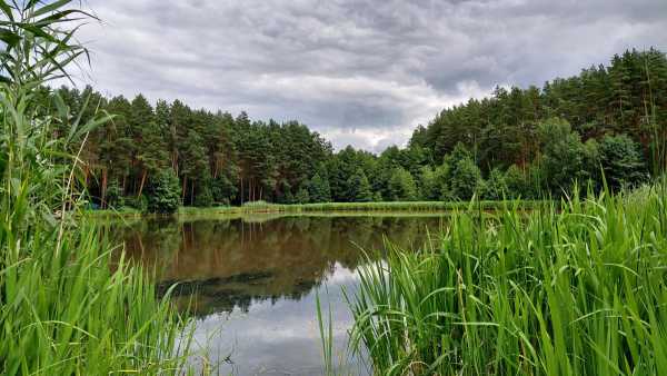 Купання в річках та озерах: несподівані ризики для здоров’я, виявлені науковцями
