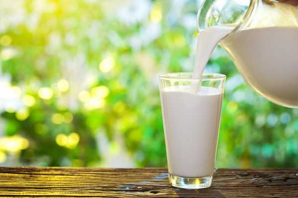 8 щоденних продуктів, де кальцію значно більше, ніж у молоці