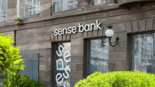 Sense Bank звільнив керівницю відділу фінансового моніторингу Людмилу Снігур