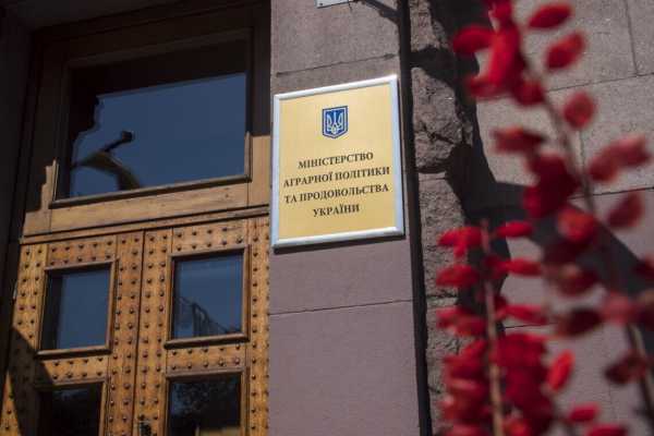 Спецпрокурори оскаржили вирок ексчиновниці Мінагрополітики