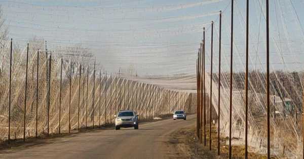 Уряд спрямує резервні кошти на захист доріг від дронів